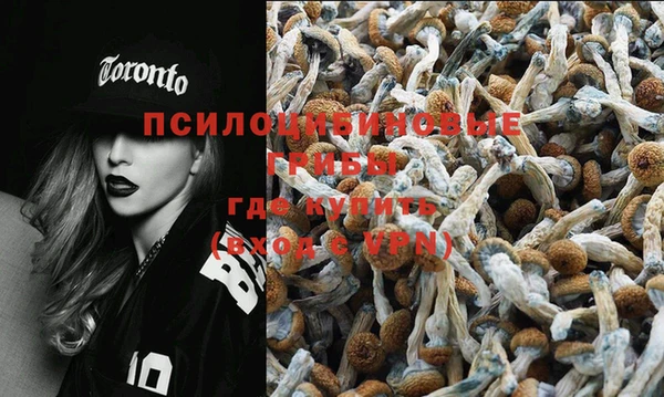 стафф Беломорск
