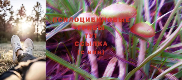 стафф Беломорск