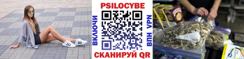 гидра tor  хочу   Назарово  Галлюциногенные грибы Magic Shrooms 