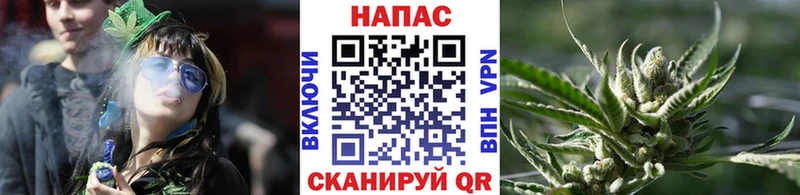 Шишки марихуана сатива mega зеркало Назарово